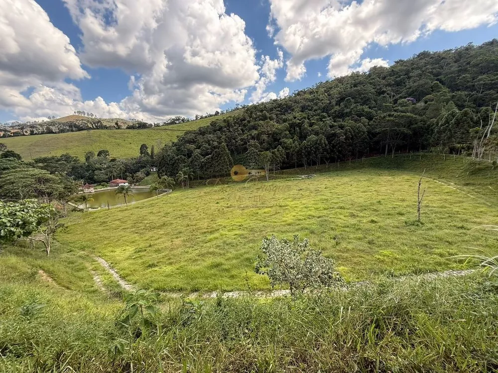 Fazenda, 68 hectares - Foto 13