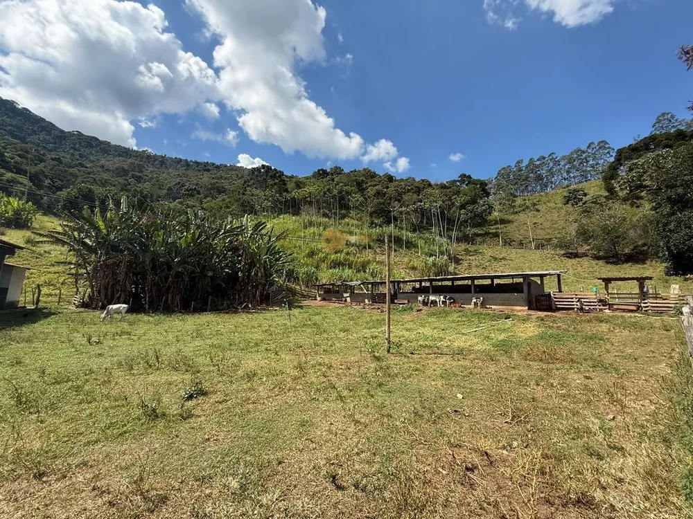 Fazenda, 68 hectares - Foto 10