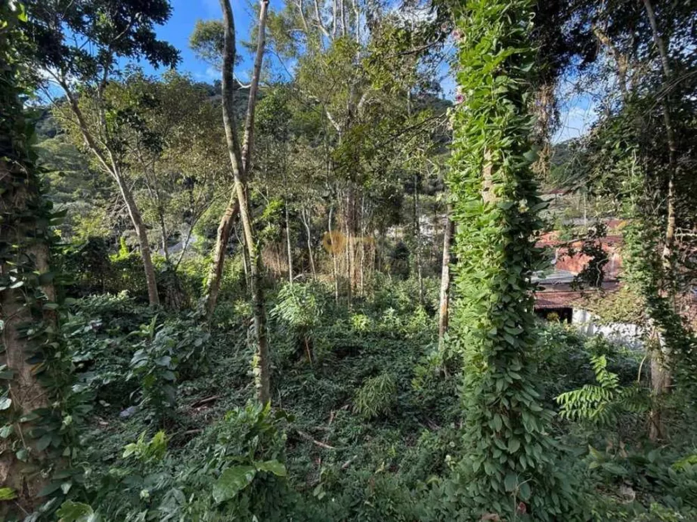 Terreno, 450 m² - Foto 5