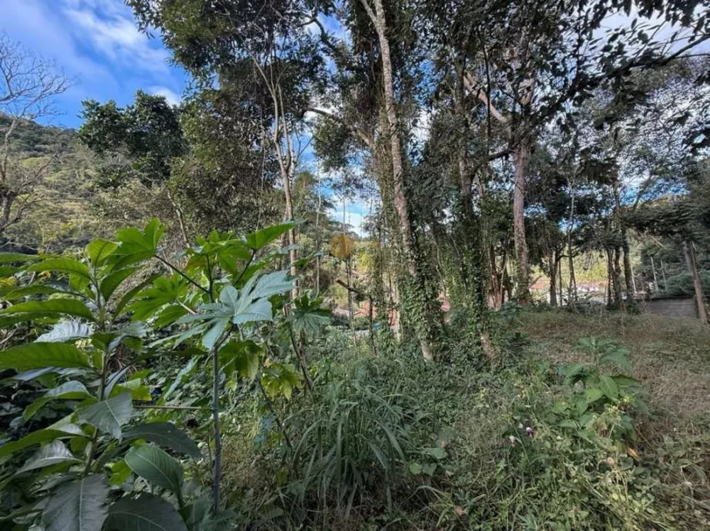 Terreno, 450 m² - Foto 8