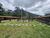 Terreno, 384 m² - Foto 3