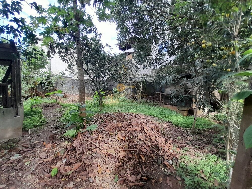 Terreno, 2292 m² - Foto 5