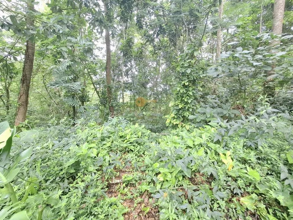 Terreno, 1500 m² - Foto 3