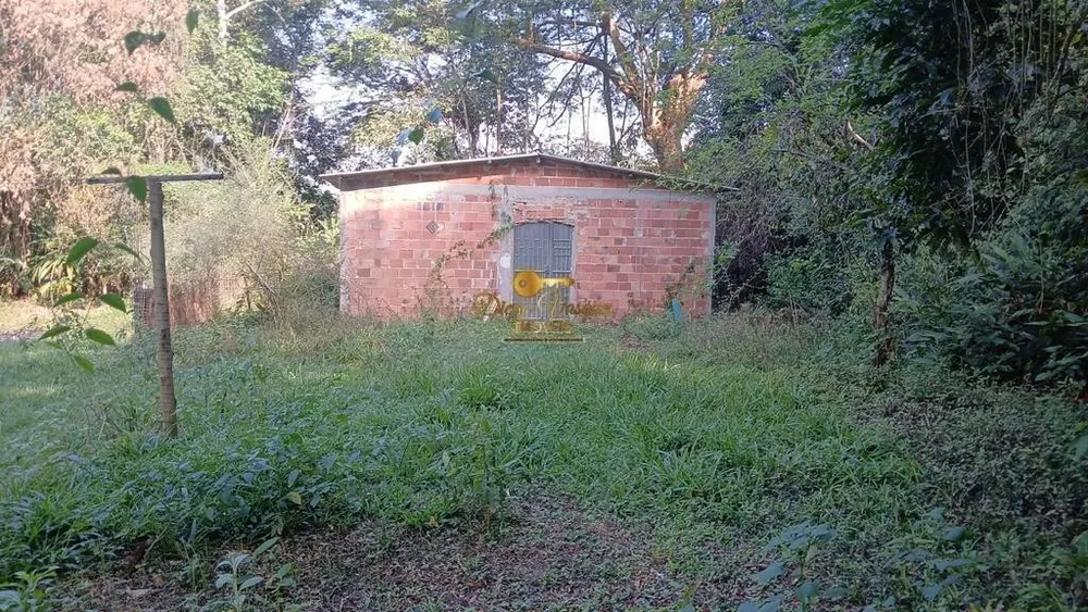 Sítio, 4 quartos, 10000 m² - Foto 24