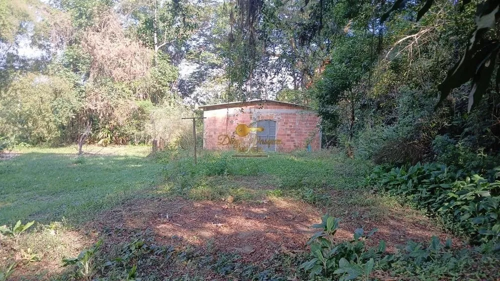 Sítio, 4 quartos, 10000 m² - Foto 32