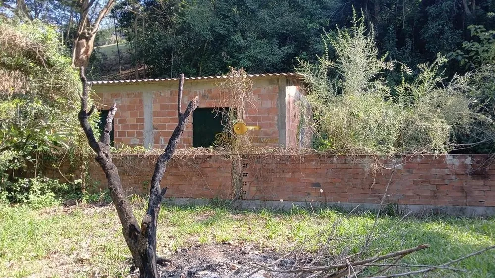Sítio, 4 quartos, 10000 m² - Foto 31