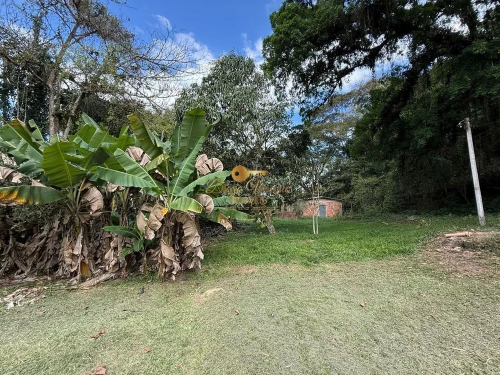 Sítio, 4 quartos, 10000 m² - Foto 12