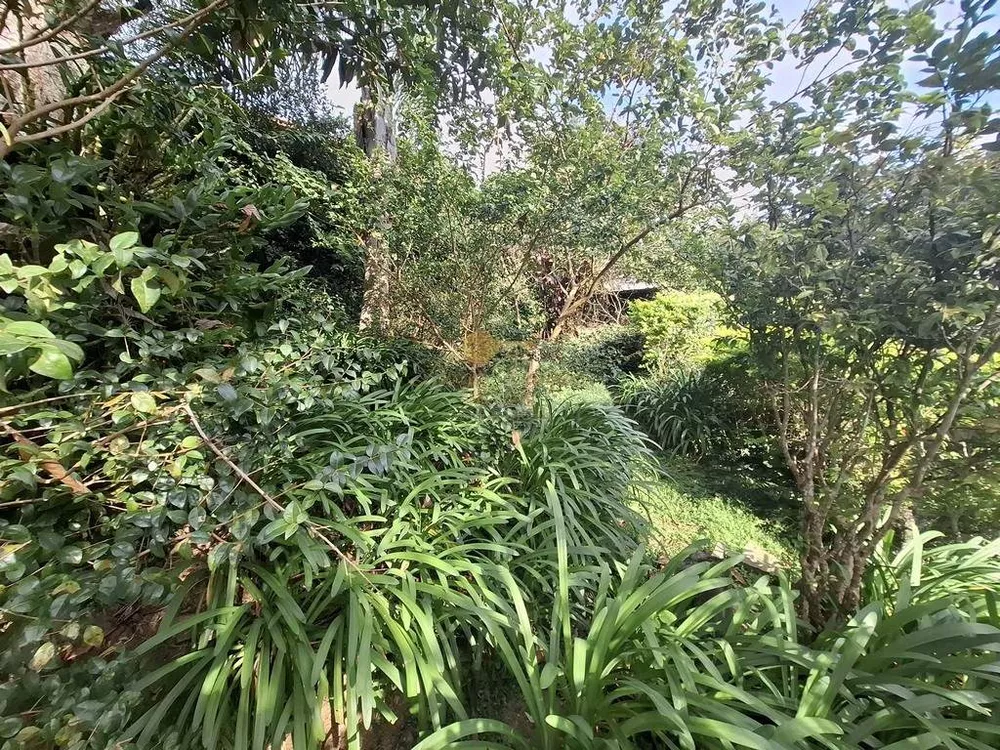 Casa, 4 quartos, 991 m² - Foto 1