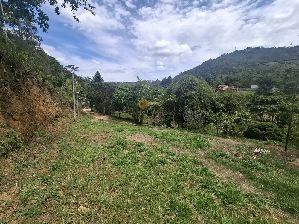 Casa, 4 quartos, 3600 m² - Foto 26