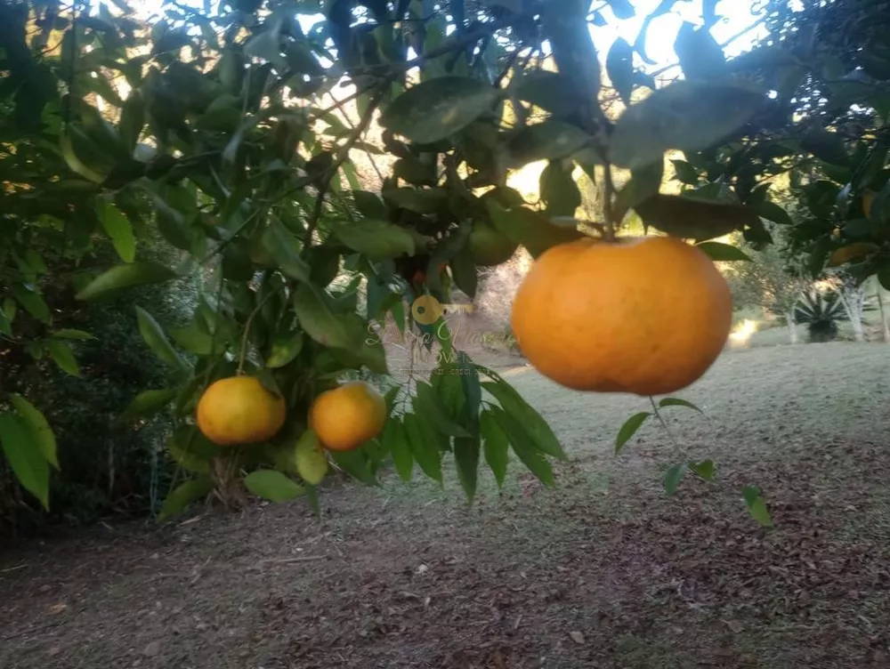 Casa, 4 quartos, 3600 m² - Foto 36