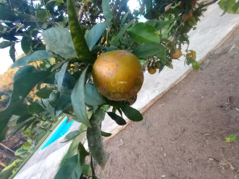 Casa, 4 quartos, 3600 m² - Foto 34