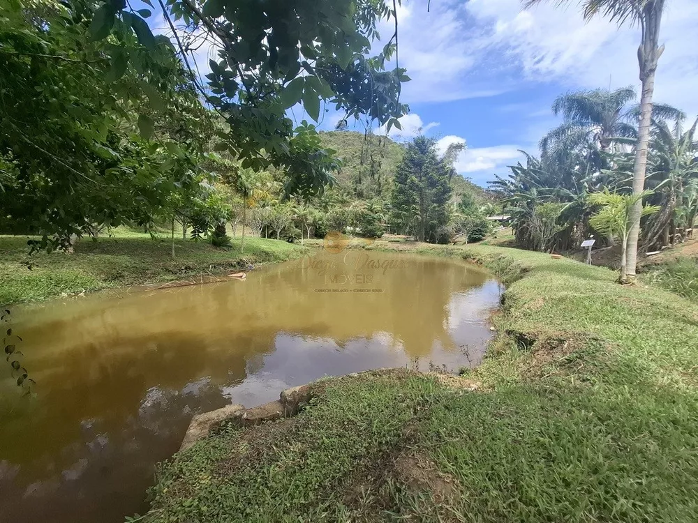 Casa, 4 quartos, 3600 m² - Foto 23