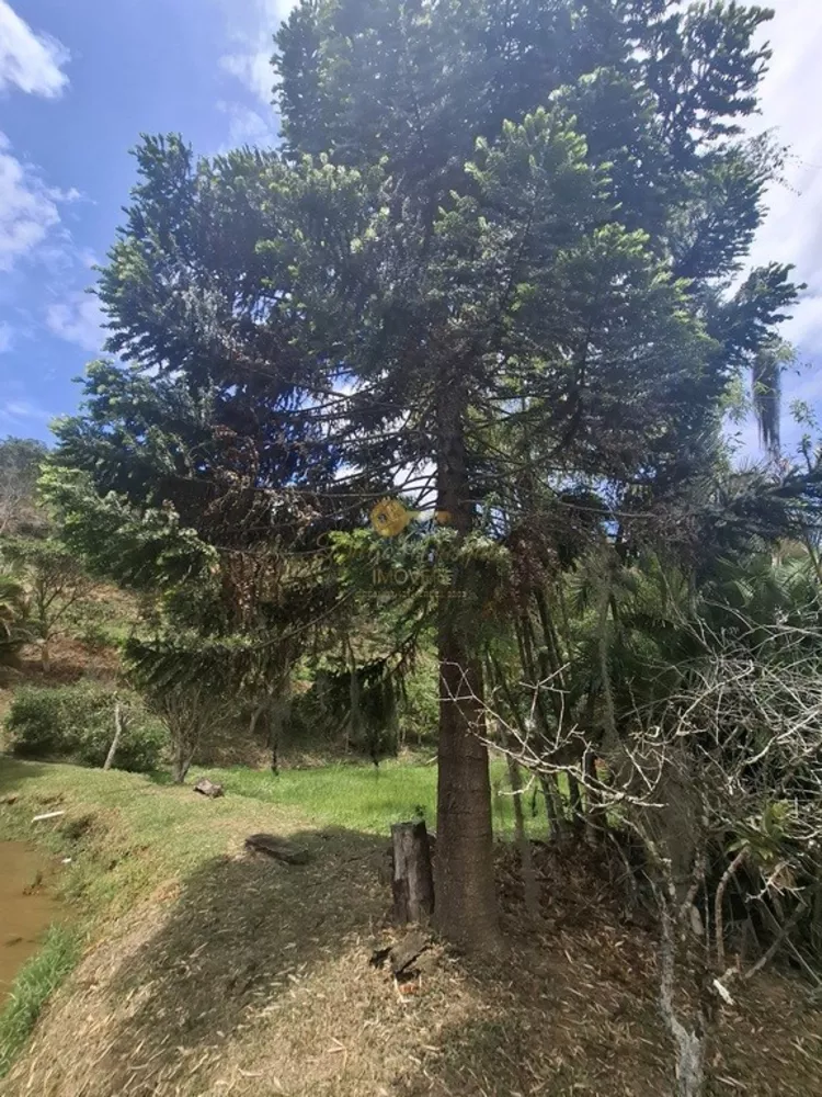 Casa, 4 quartos, 3600 m² - Foto 20