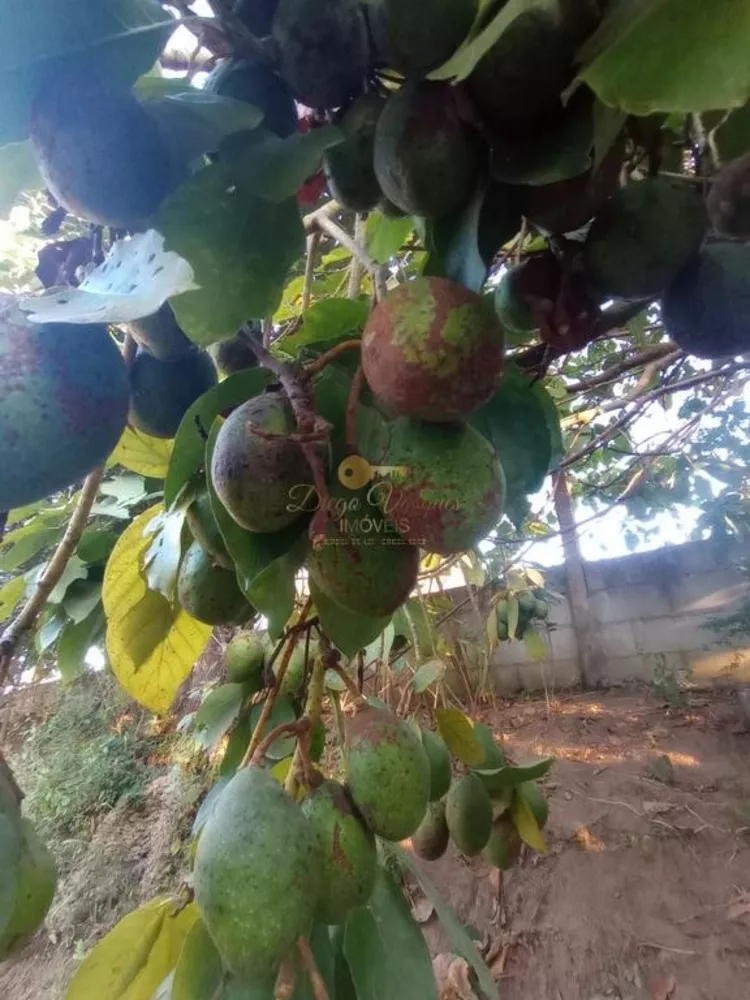 Casa, 4 quartos, 3600 m² - Foto 37