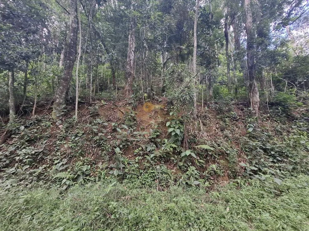 Terreno, 610 m² - Foto 5