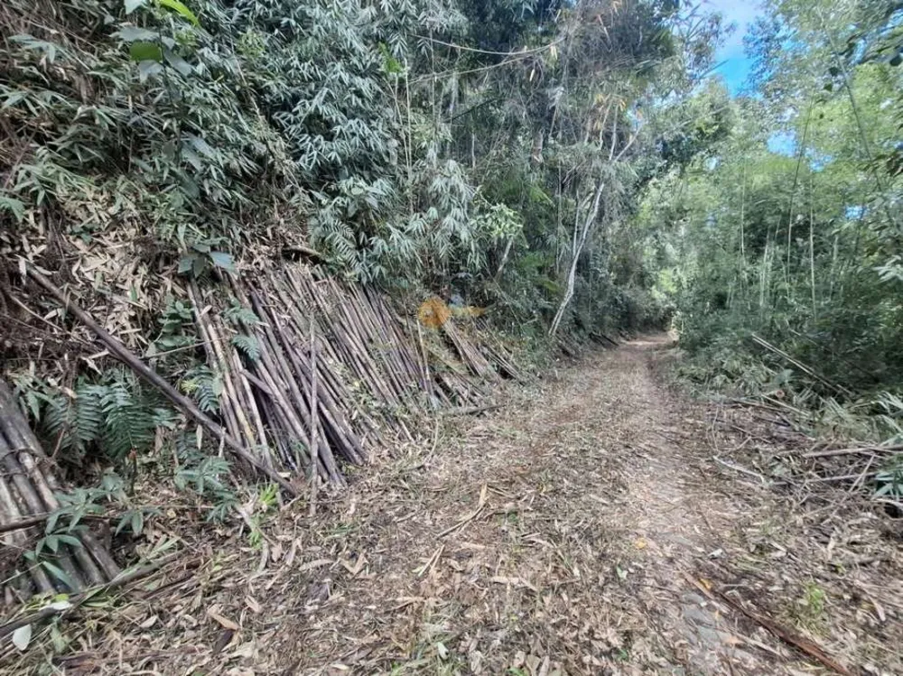 Terreno, 610 m² - Foto 6