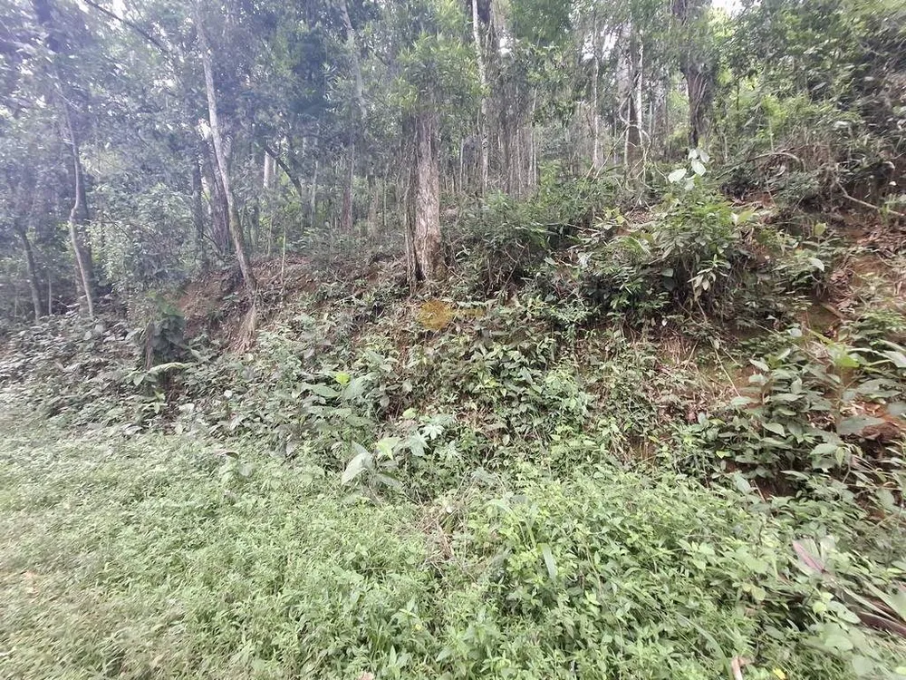 Terreno, 610 m² - Foto 8