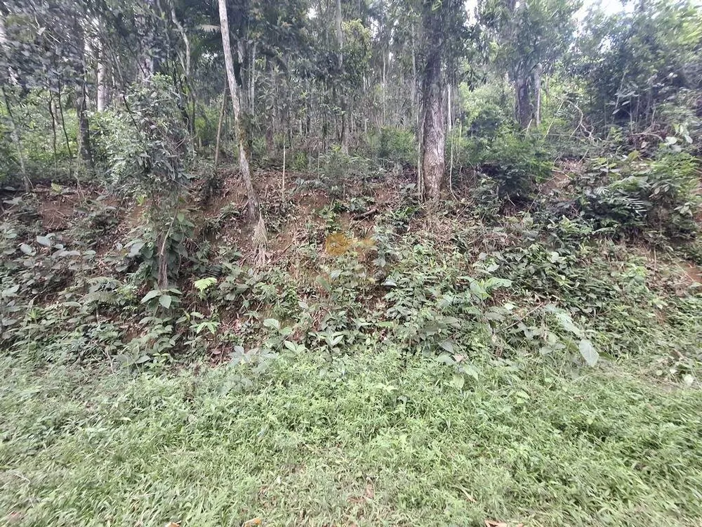 Terreno, 610 m² - Foto 3