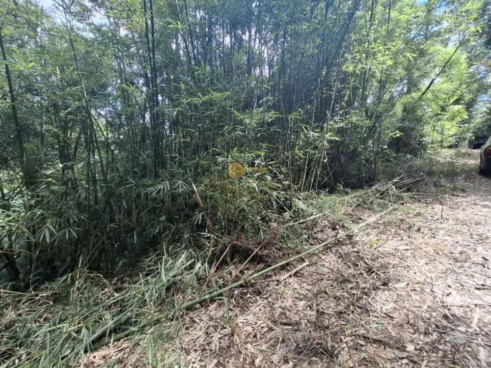 Terreno, 610 m² - Foto 16