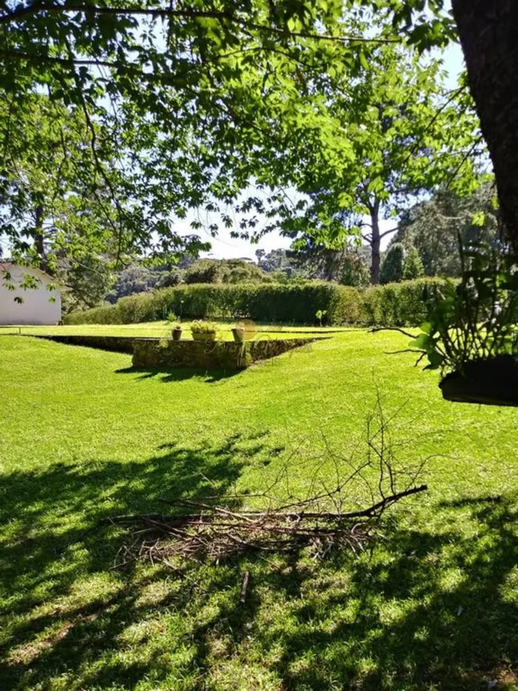 Sítio, 5 quartos, 10000 m² - Foto 6