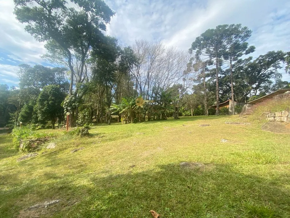 Sítio, 5 quartos, 10000 m² - Foto 20