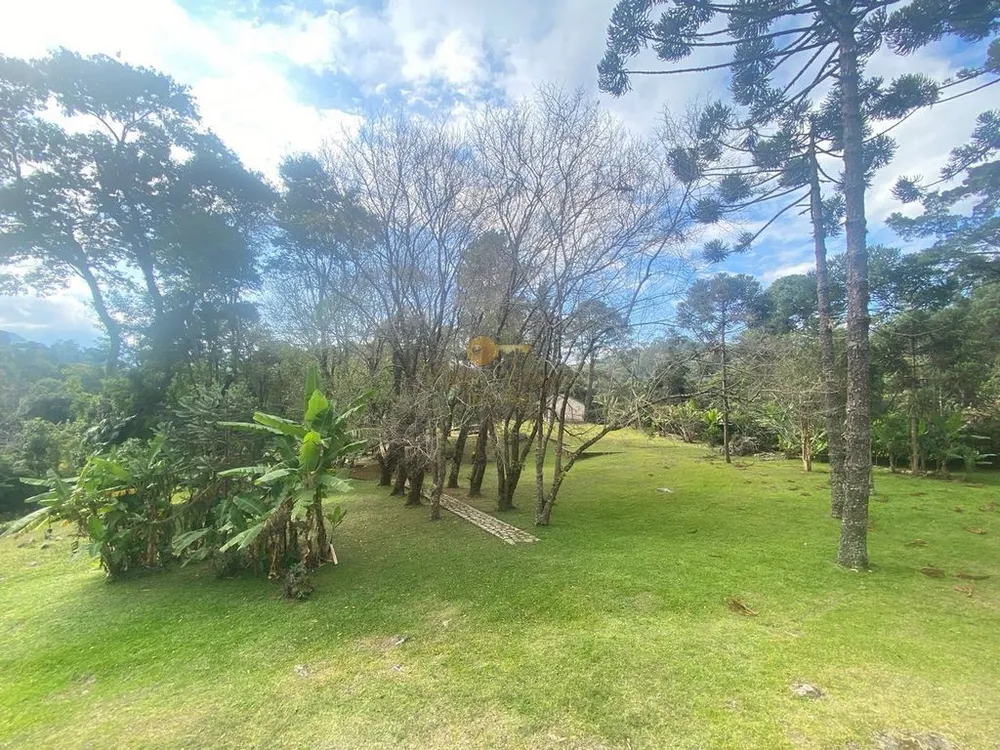 Sítio, 5 quartos, 10000 m² - Foto 5