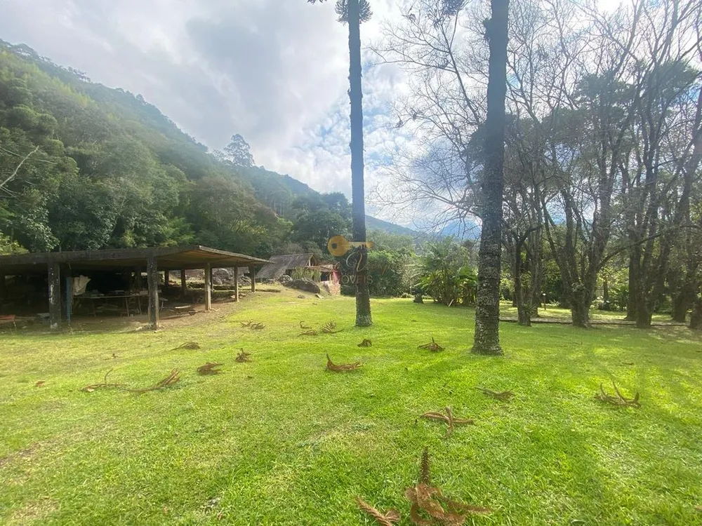 Sítio, 5 quartos, 10000 m² - Foto 8