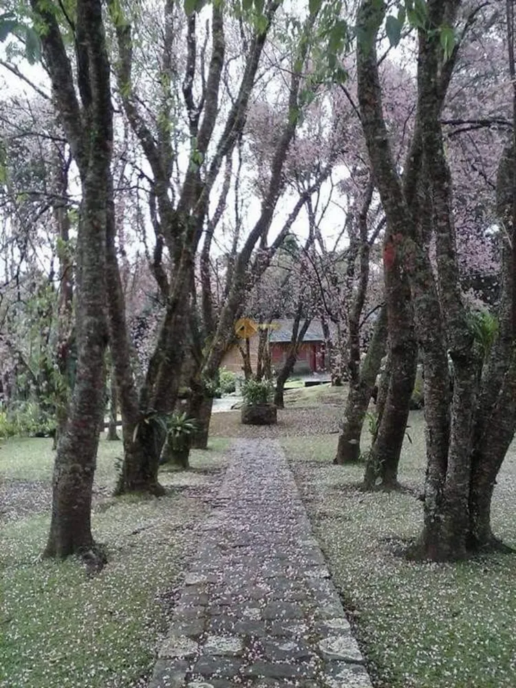 Sítio, 5 quartos, 10000 m² - Foto 21