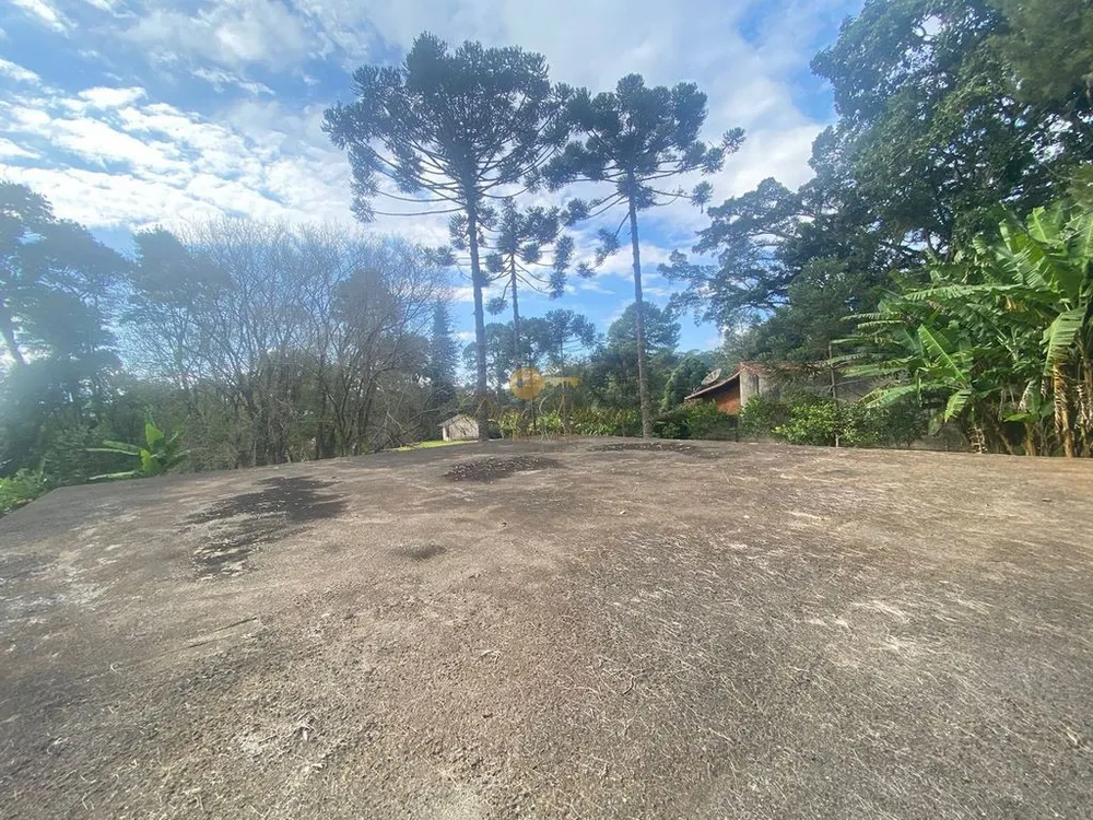 Sítio, 5 quartos, 10000 m² - Foto 13