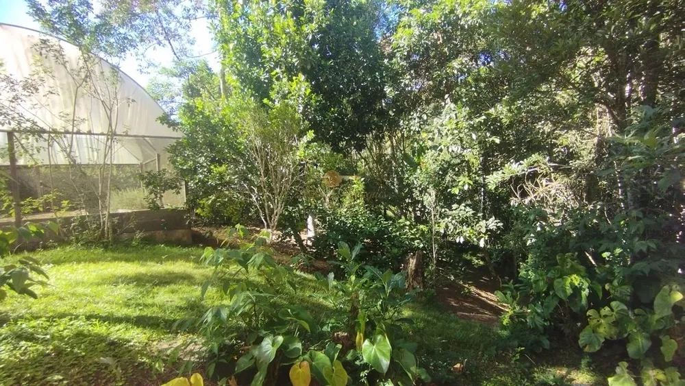 Terreno, 525 m² - Foto 4