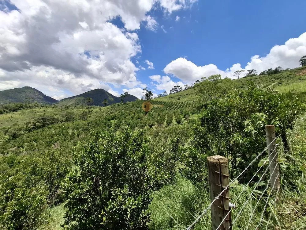 Fazenda à venda com 3 quartos, 90000m² - Foto 3