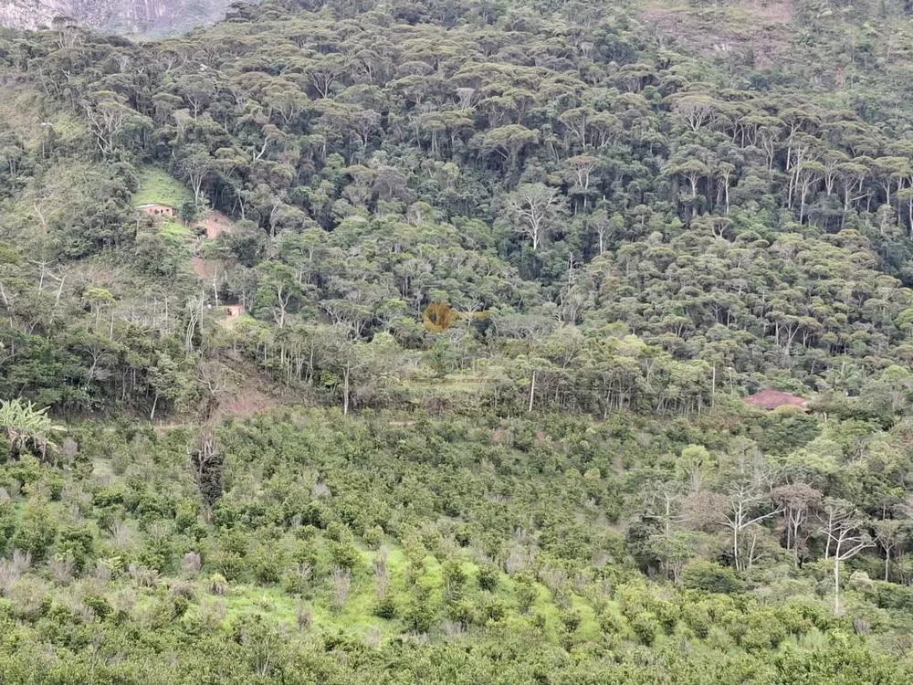 Sítio, 3 quartos, 9 hectares - Foto 11