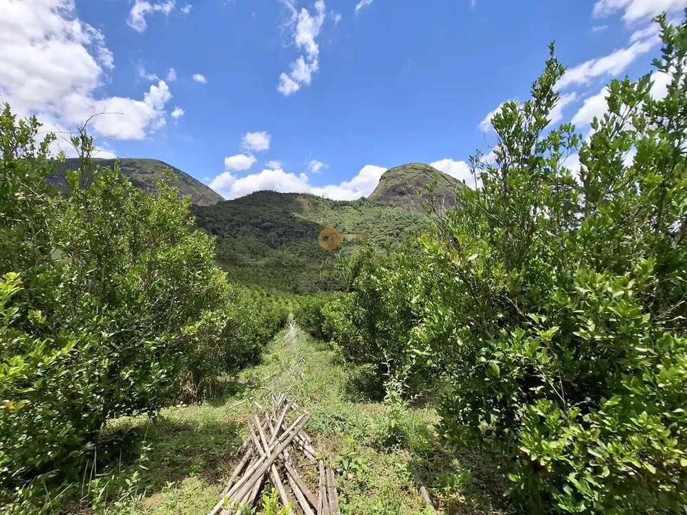 Sítio, 3 quartos, 9 hectares - Foto 13