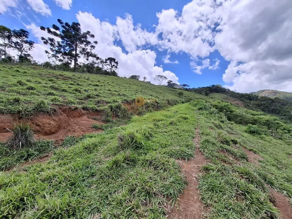 Sítio, 3 quartos, 9 hectares - Foto 6