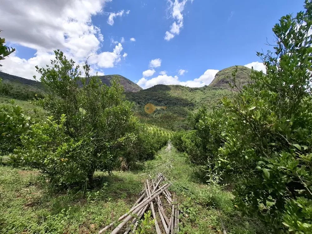 Sítio, 3 quartos, 9 hectares - Foto 14