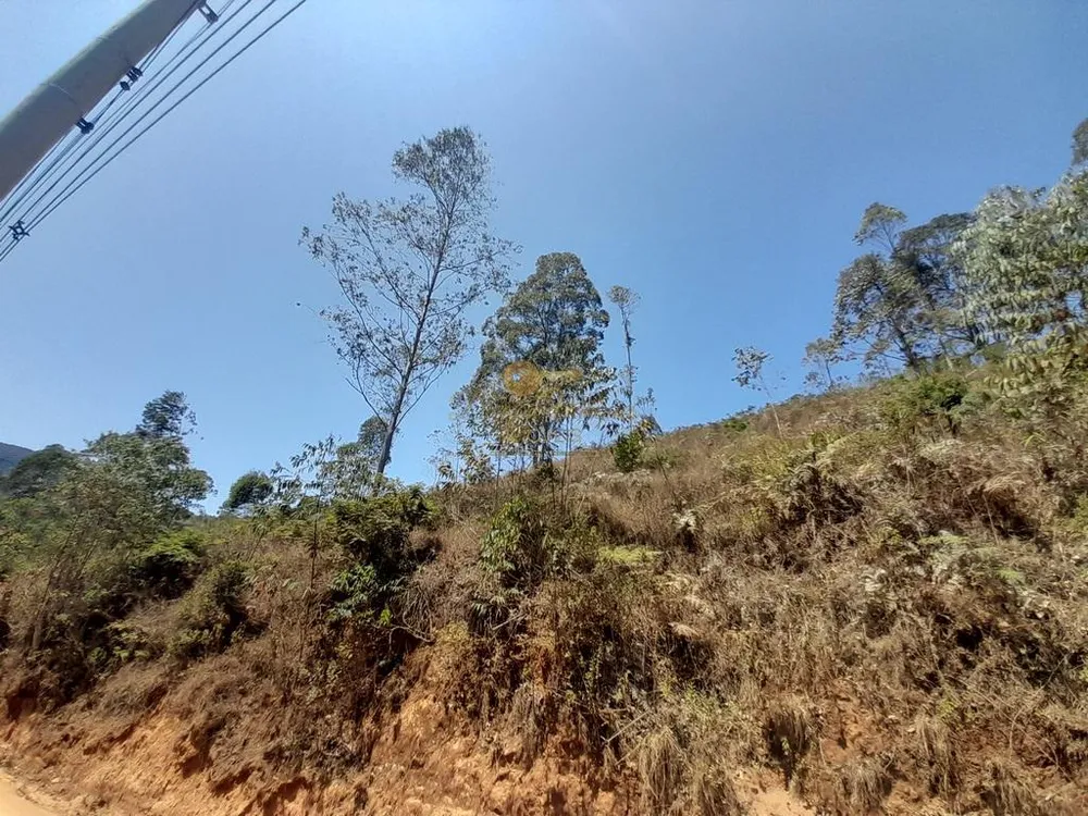 Terreno, 1000 m² - Foto 1