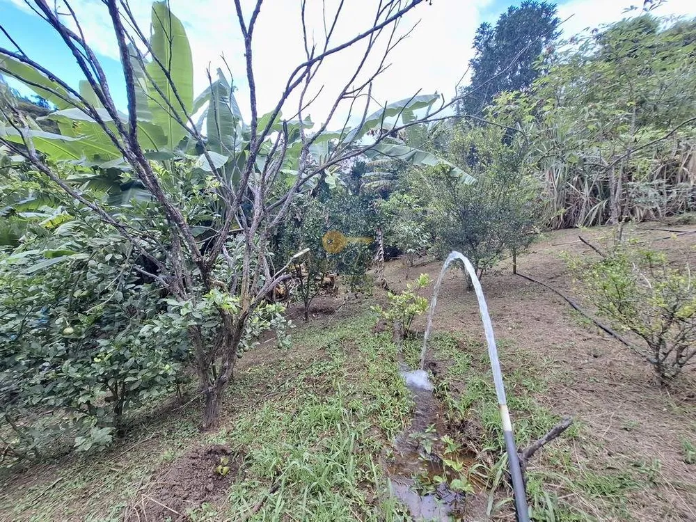 Sítio, 3 quartos, 3800 m² - Foto 35