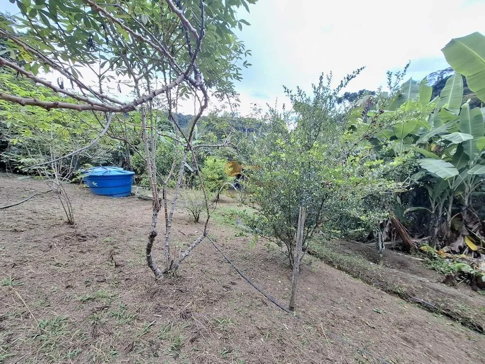 Sítio, 3 quartos, 3800 m² - Foto 33