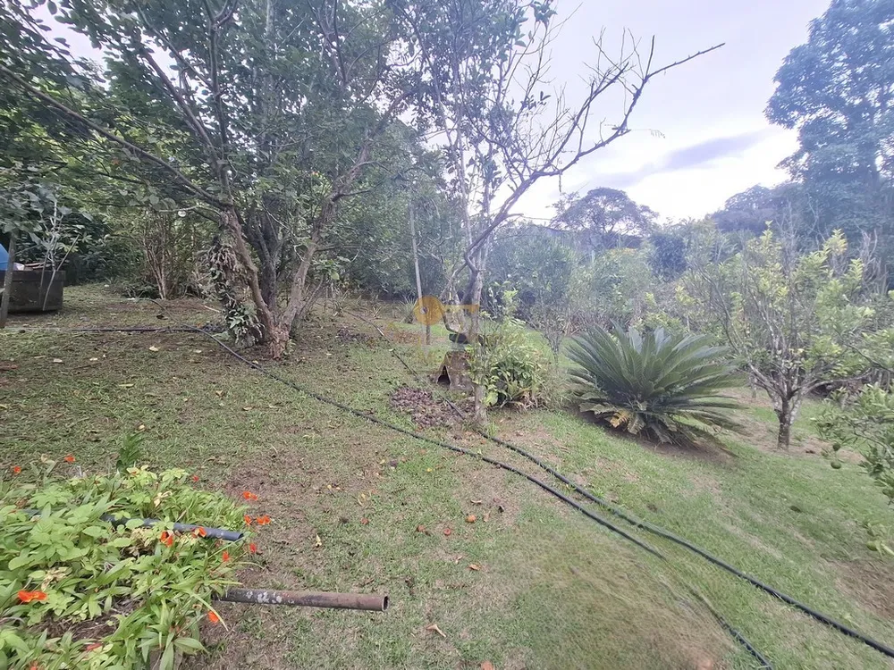 Sítio, 3 quartos, 3800 m² - Foto 22