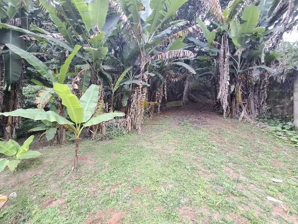 Sítio, 3 quartos, 3800 m² - Foto 45
