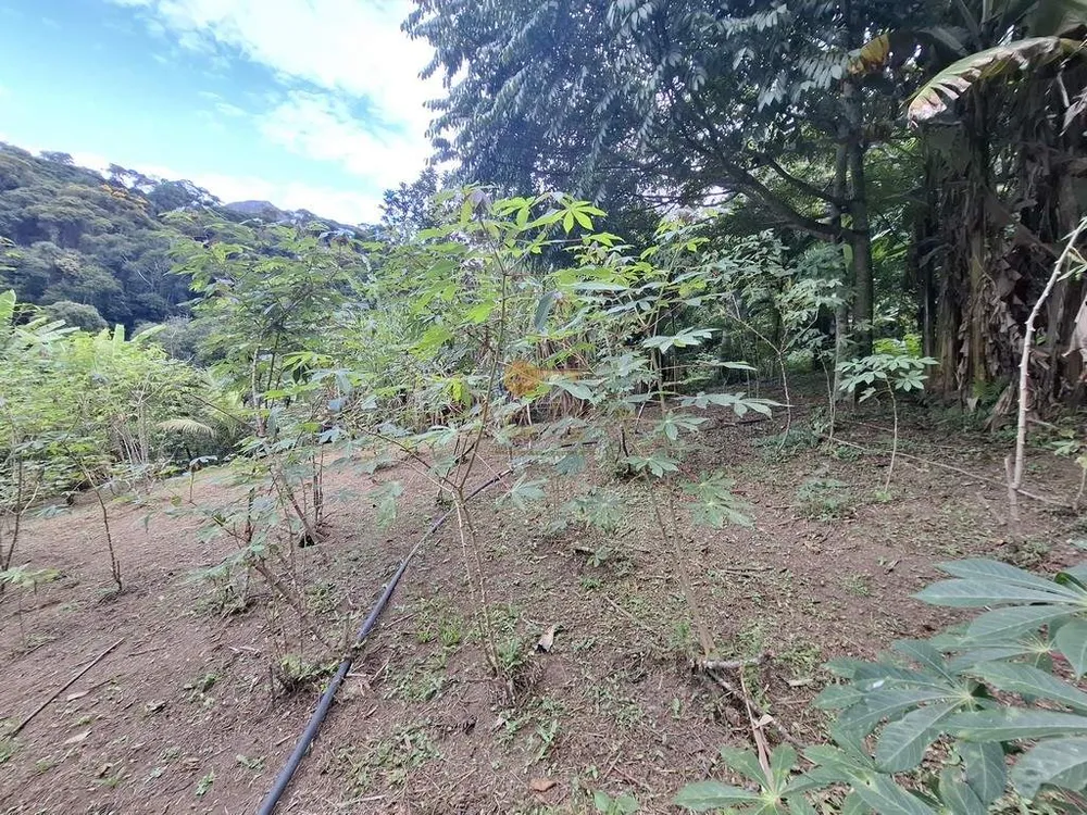 Sítio, 3 quartos, 3800 m² - Foto 30