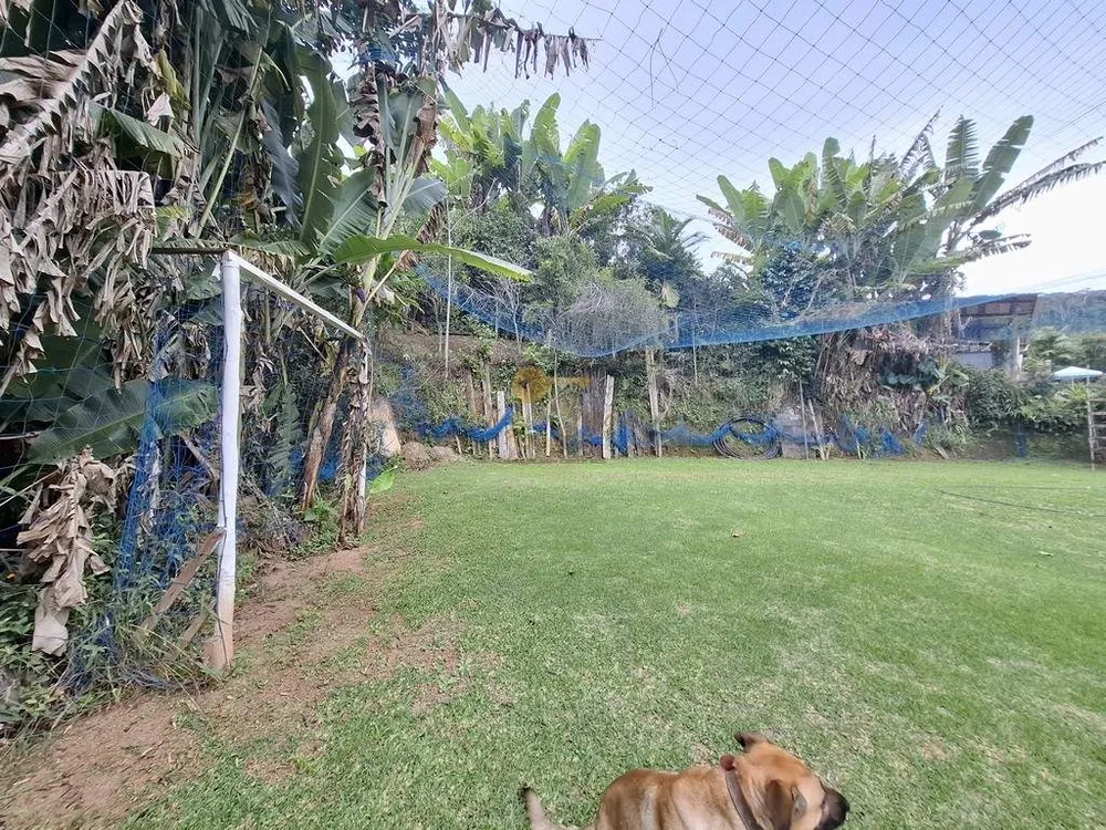 Sítio, 3 quartos, 3800 m² - Foto 43