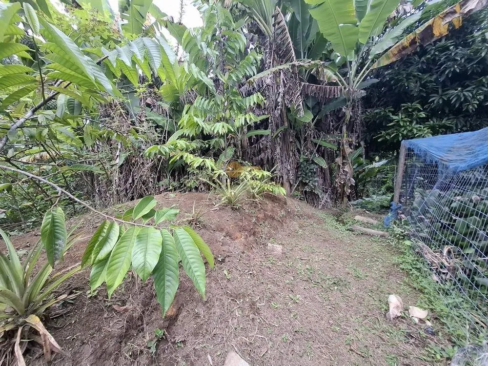 Sítio, 3 quartos, 3800 m² - Foto 28