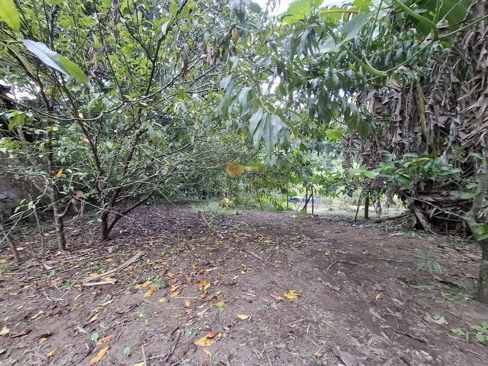 Sítio, 3 quartos, 3800 m² - Foto 29