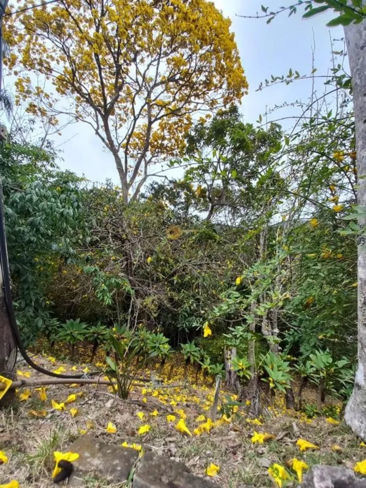 Sítio, 3 quartos, 3888 m² - Foto 17