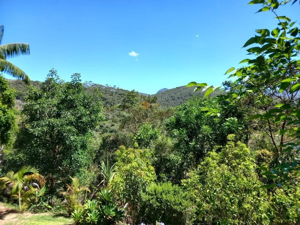 Sítio, 3 quartos, 3888 m² - Foto 16