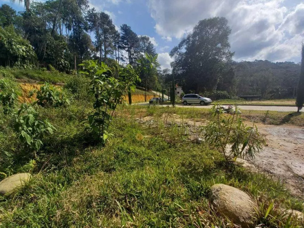 Terreno, 202 m² - Foto 5