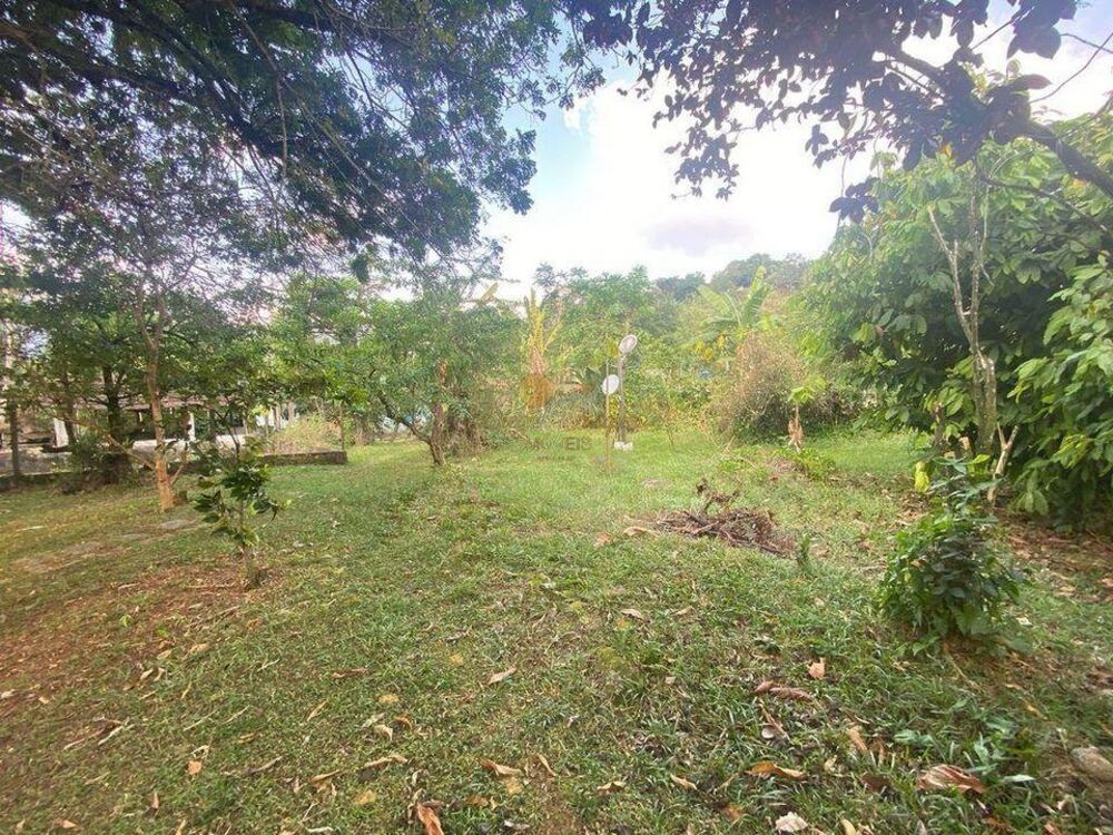 Casa à venda com 2 quartos, 720m² - Foto 8