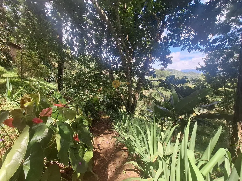 Casa, 3 quartos, 1259 m² - Foto 24
