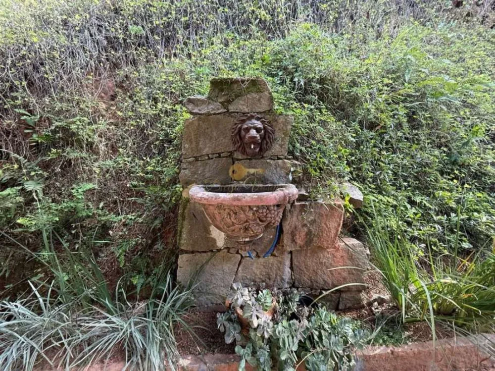 Casa, 7 quartos - Foto 44